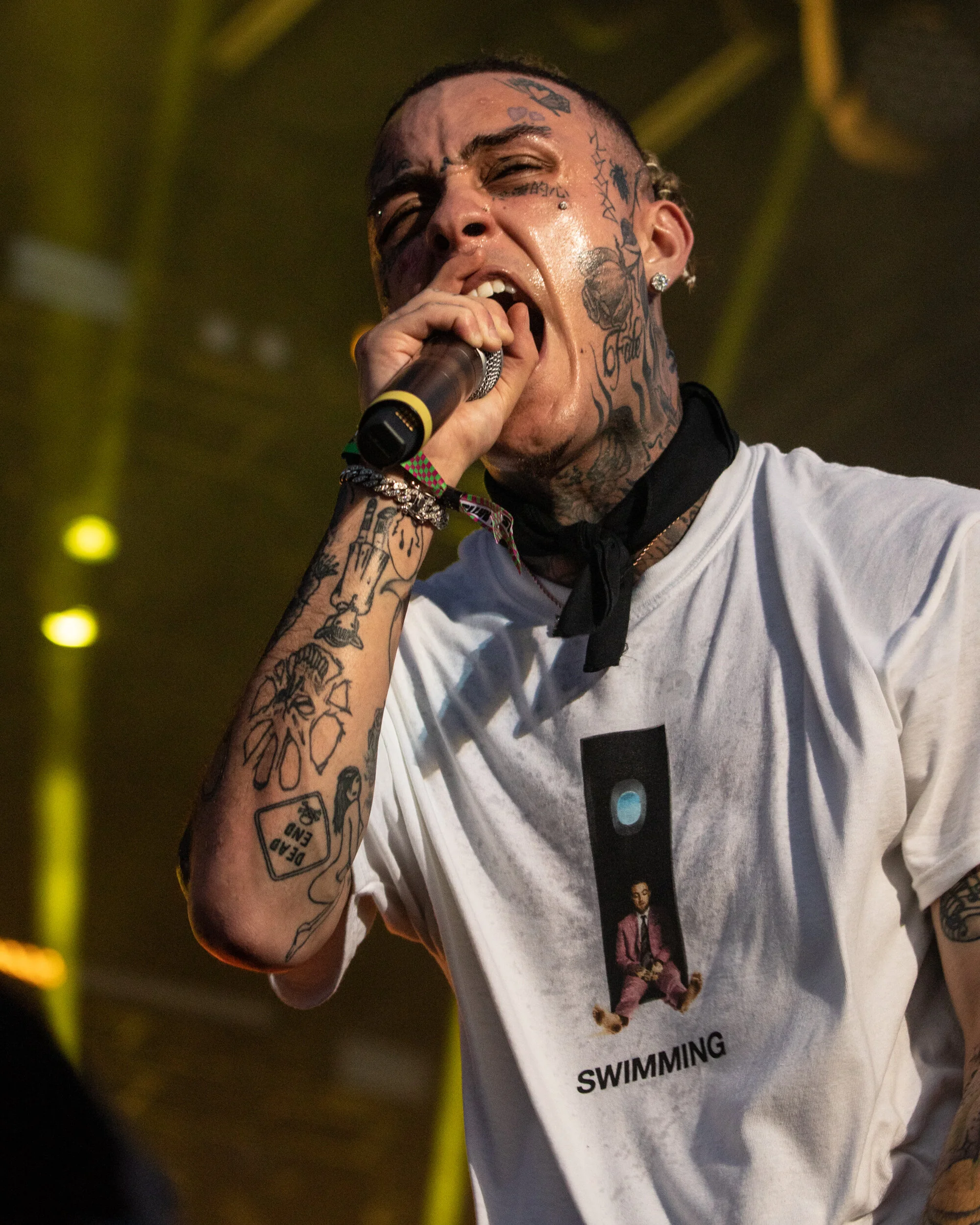 LilSkies-10.jpg