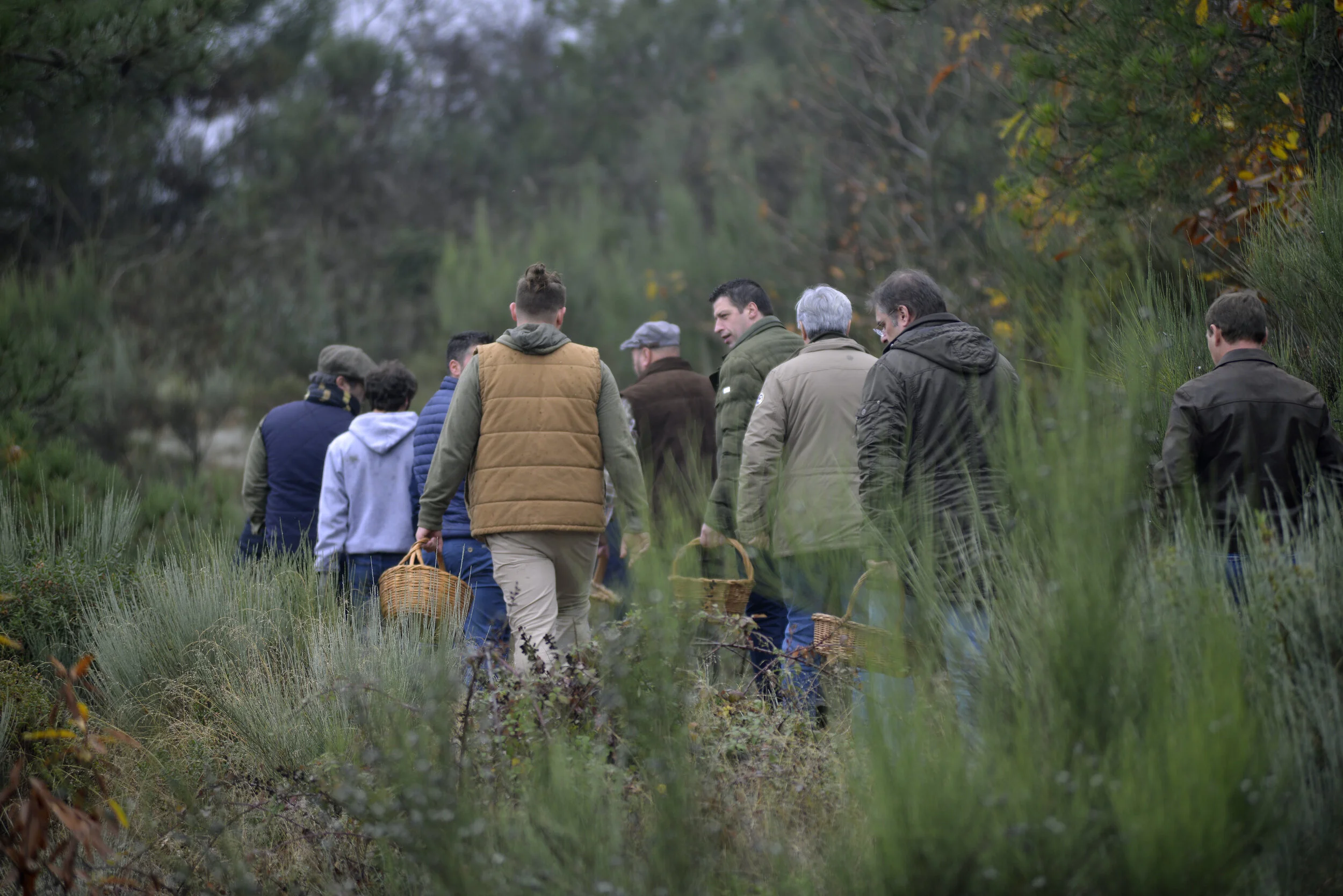 BUSCA PORTUGAL - Apanha de cogumelos Alfândega da Fé 2018