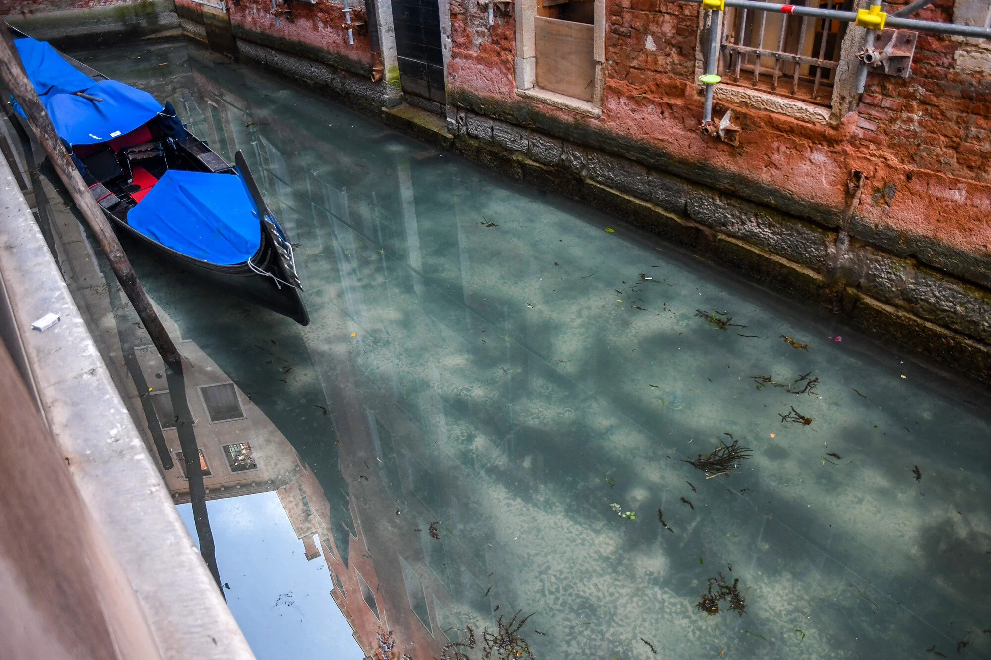 Italy's canals run clear amid lockdown