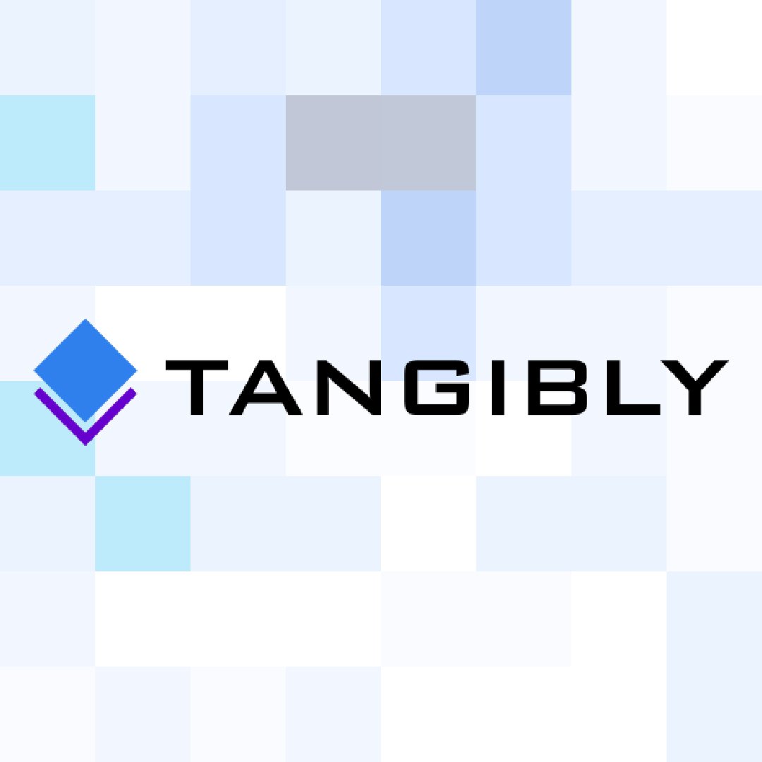 Predicted Portfolio | Tangibly