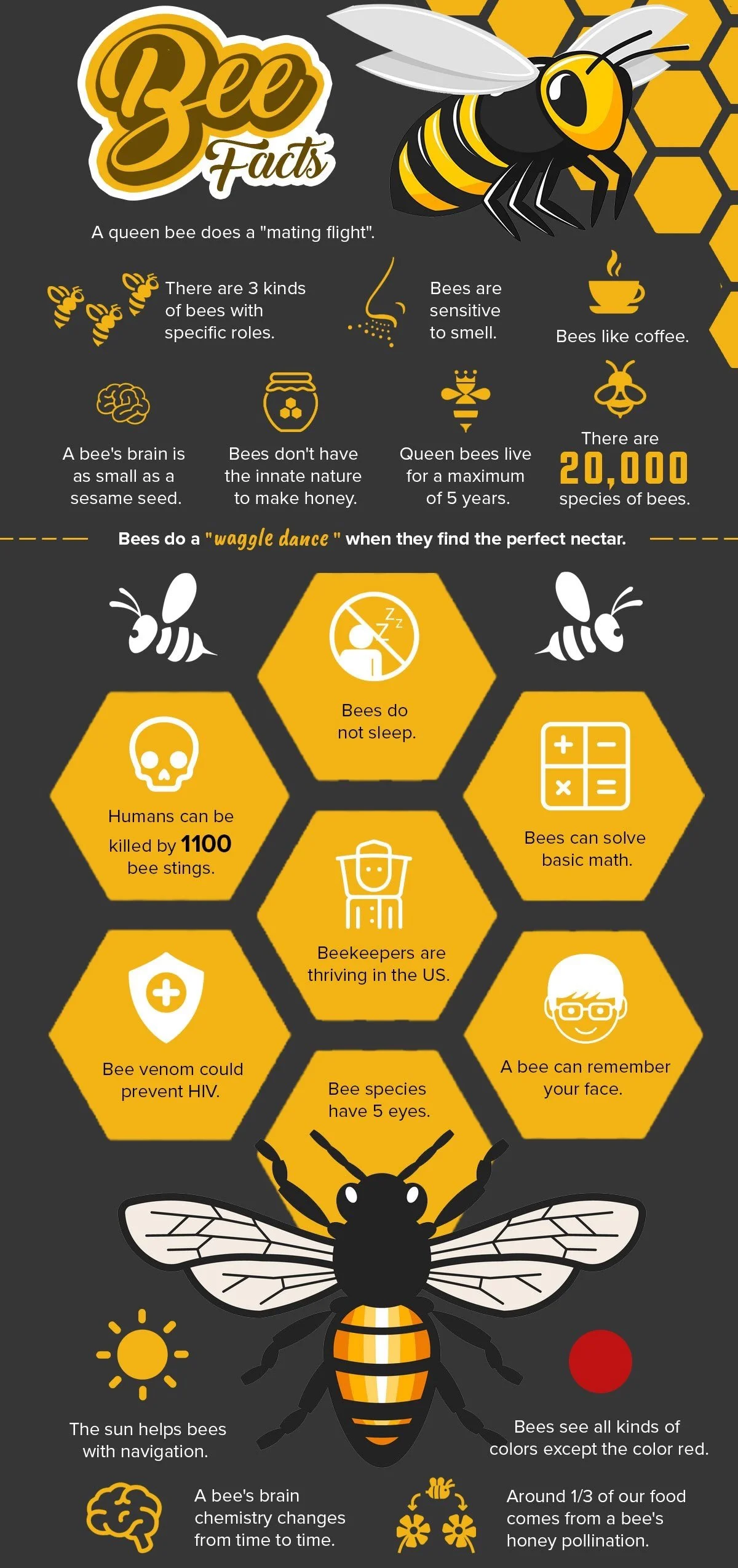 Bee-Facts.jpg
