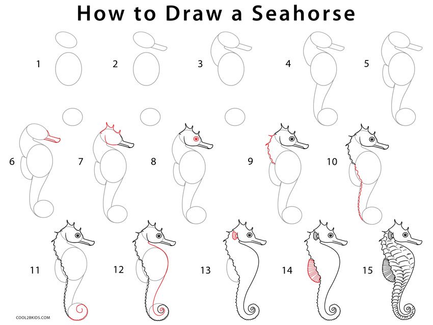 How-to-Draw-a-Seahorse-Step-by-Step.jpg