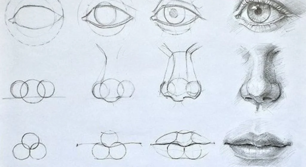 How-to-draw-a-nose-from-an-angle-e1585583865516-1024x561.jpg
