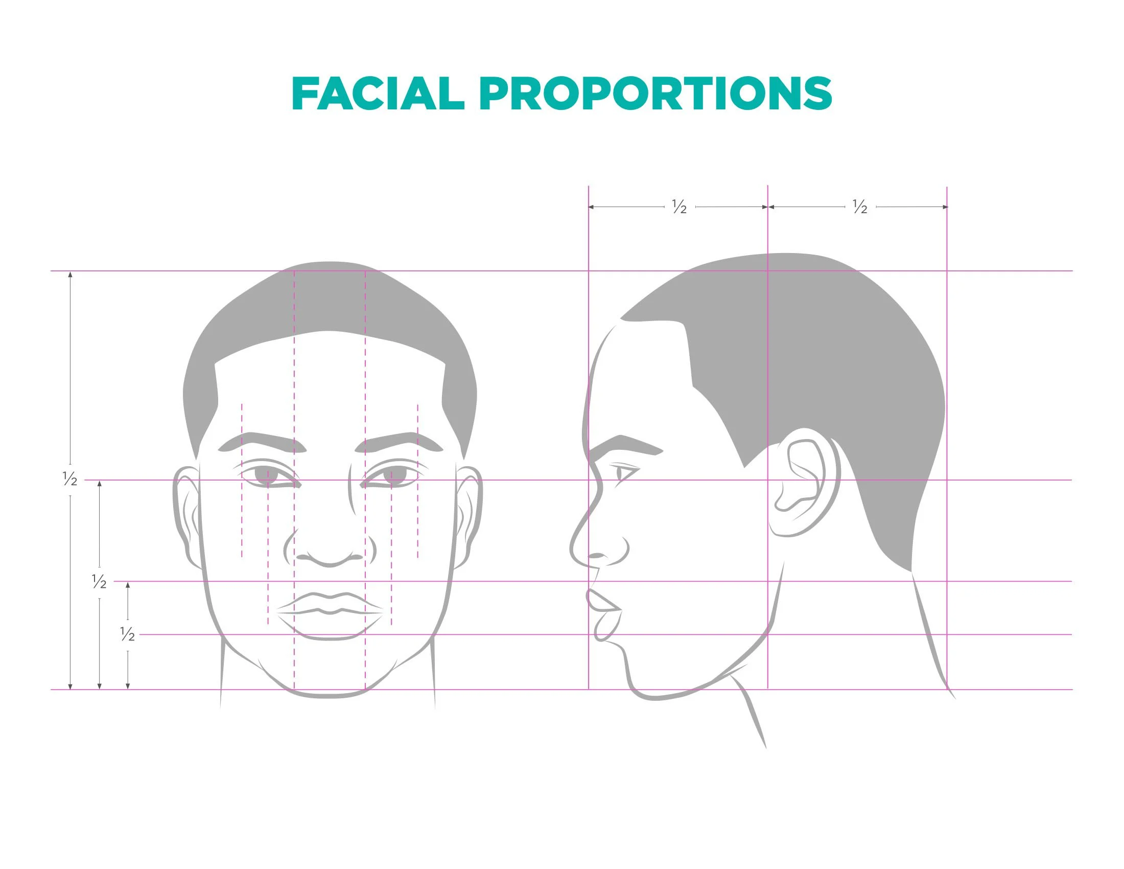 FacialProportions-2-2.jpg