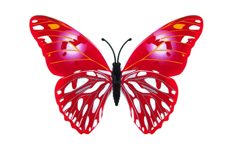 beautiful-red-colored-butterfly-beautiful-red-colored-butterfly-isolated-over-white-118643145.jpg.webp