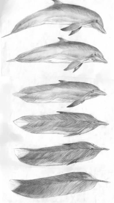 6e77df8683529f4e8aeef67212c8e93b--surrealism-drawing-metamorphosis-art.jpg