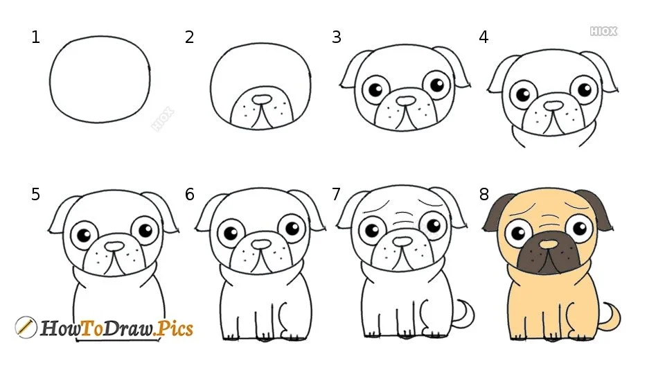 how-to-draw-a-pug-52650-28821.jpg
