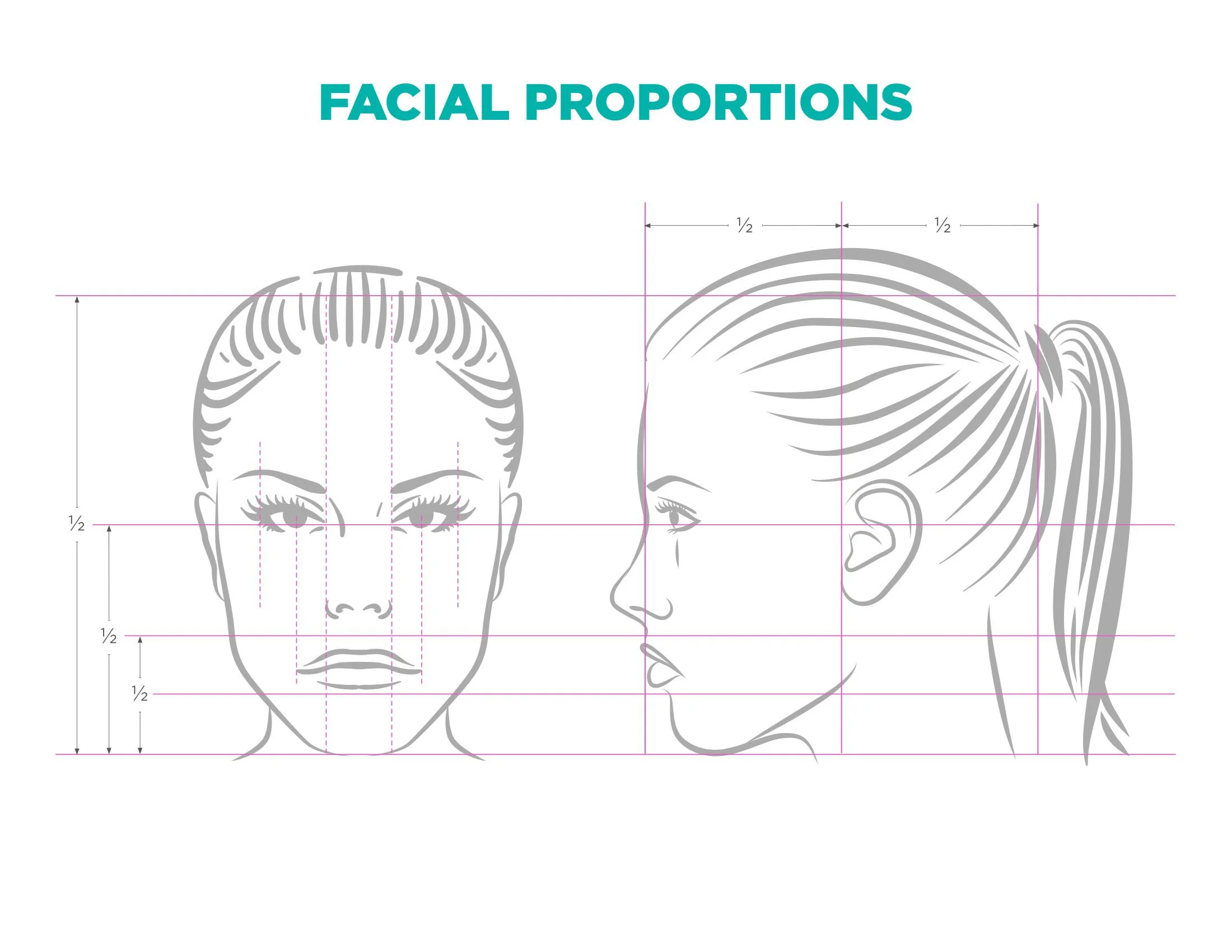 FacialProportions-2-1.jpg
