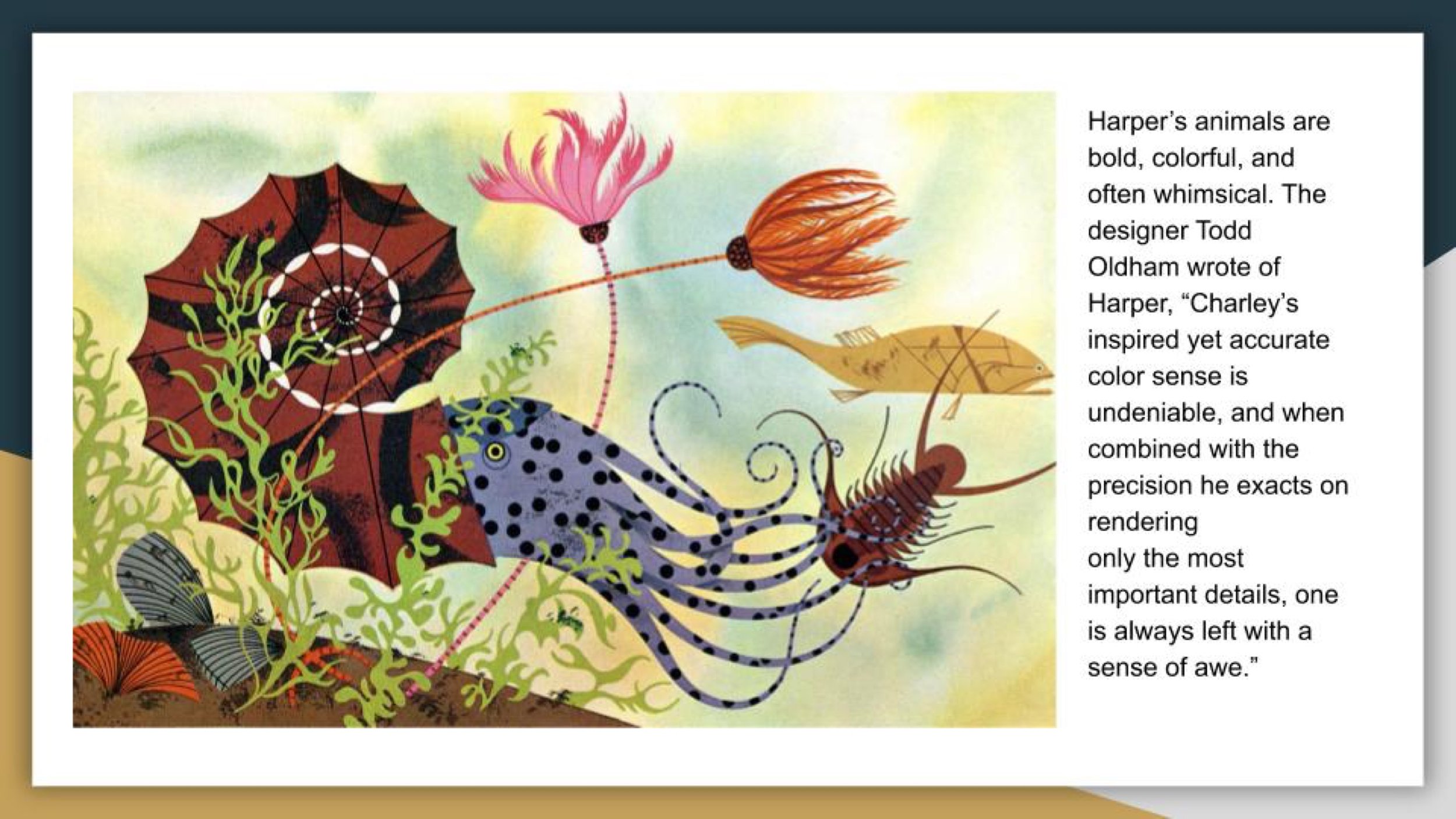 Charley Harper copy-04.jpg