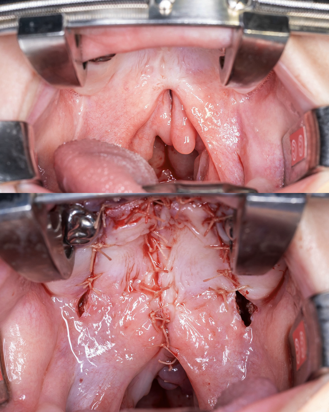 Screenshot 2024-01-21 at 4.23.07 PM.png