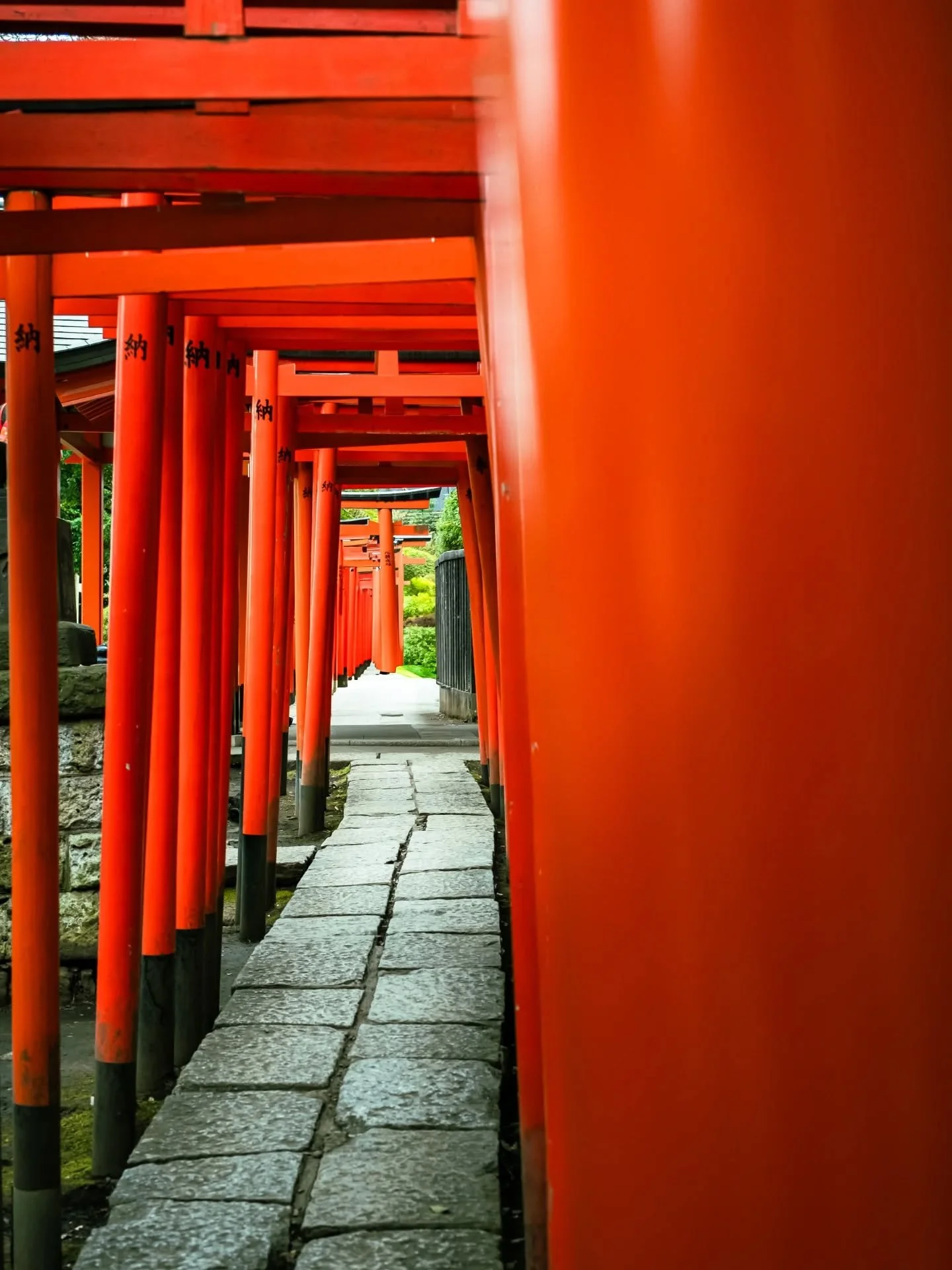 This is not Kyoto and it's not Fushimi Inari.

Who would have said that a small neighborhood in Tokyo has one of the best hidden gems shrines, with its red torii gates, peaceful ponds, and the best part? No crowds!

#tokyohiddengems #toriigates #ginz
