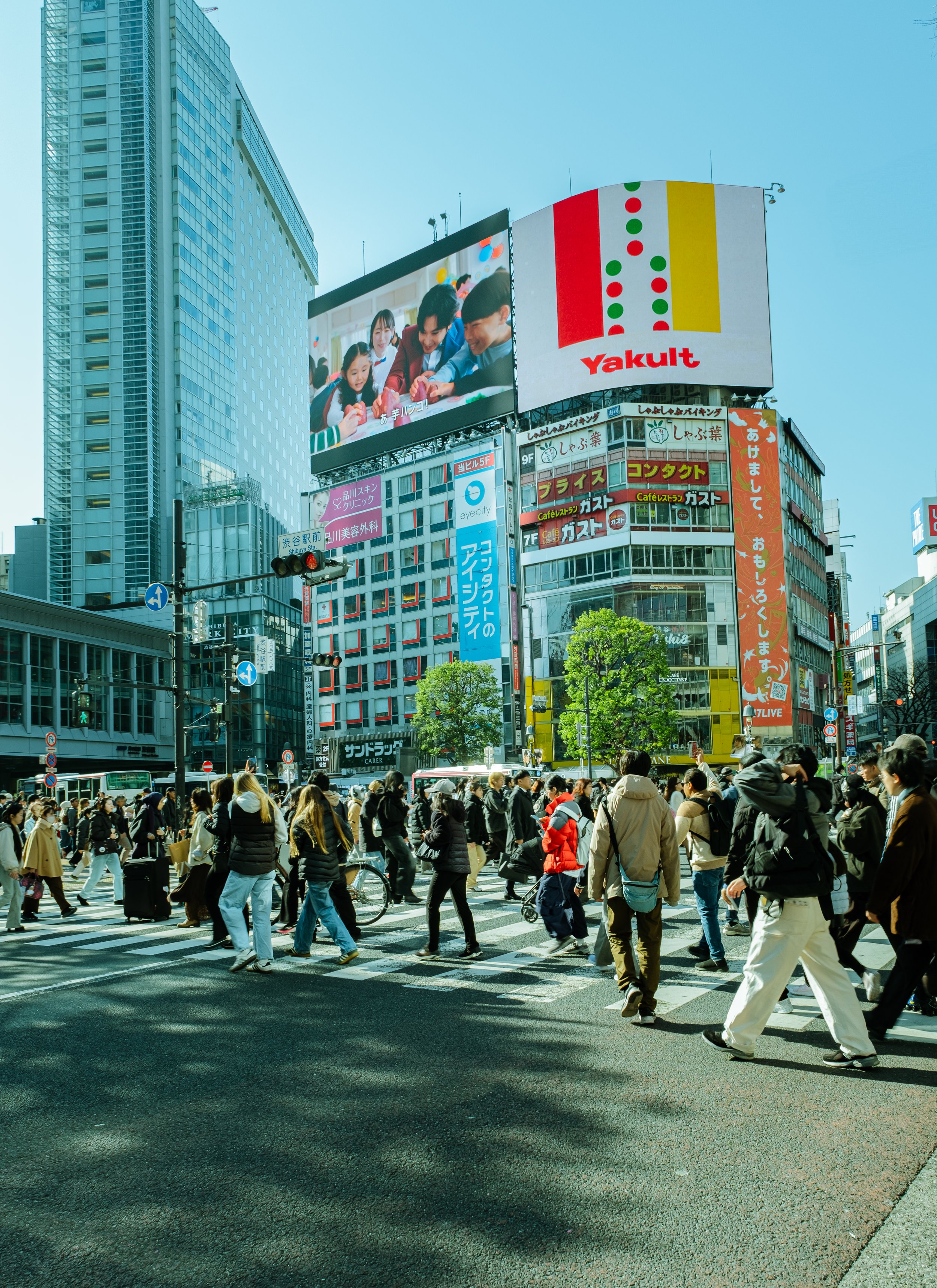 Senza titolo-2410.jpg