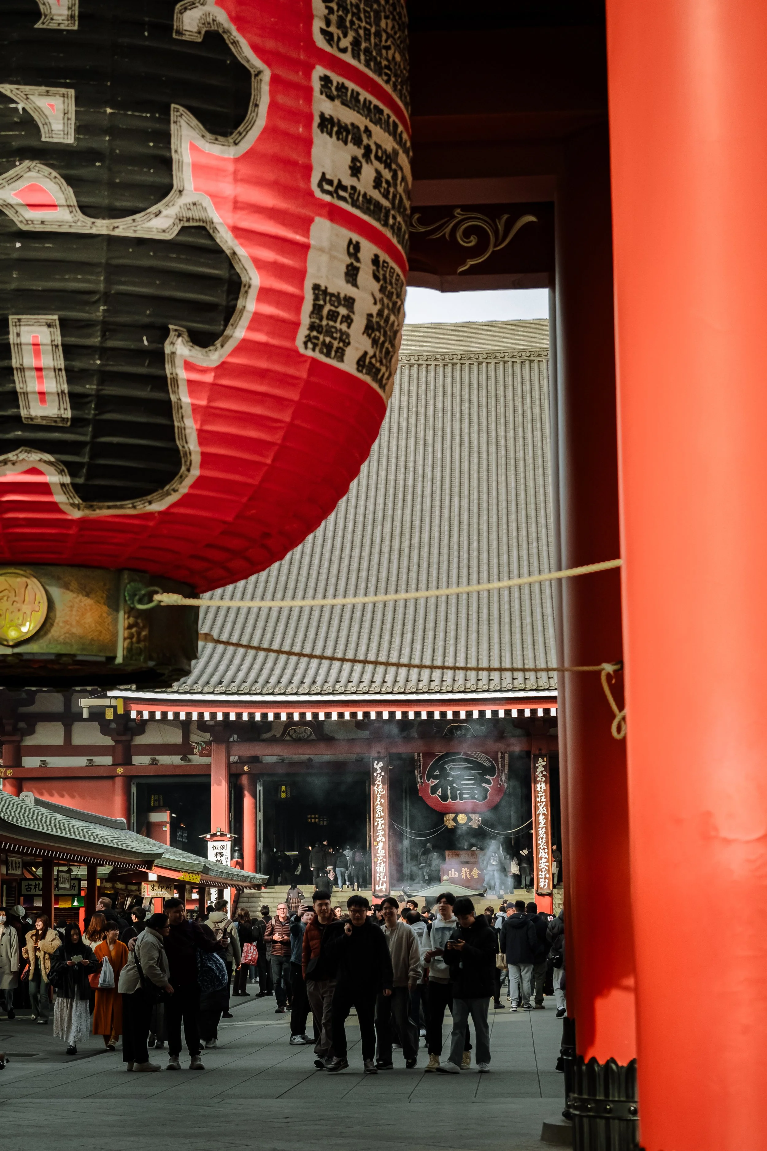 Senza titolo-2309.jpg