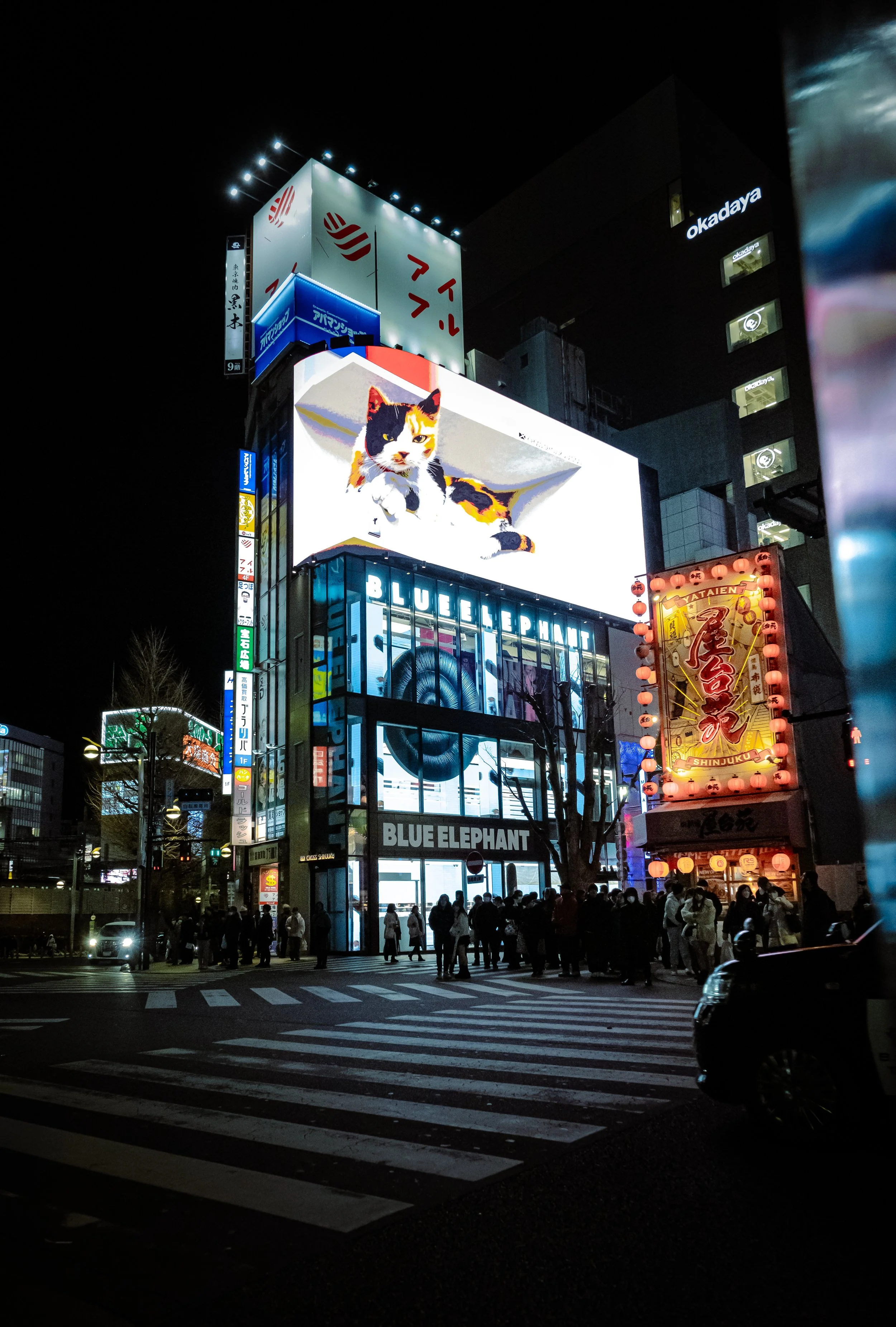 Senza titolo-2288.jpg