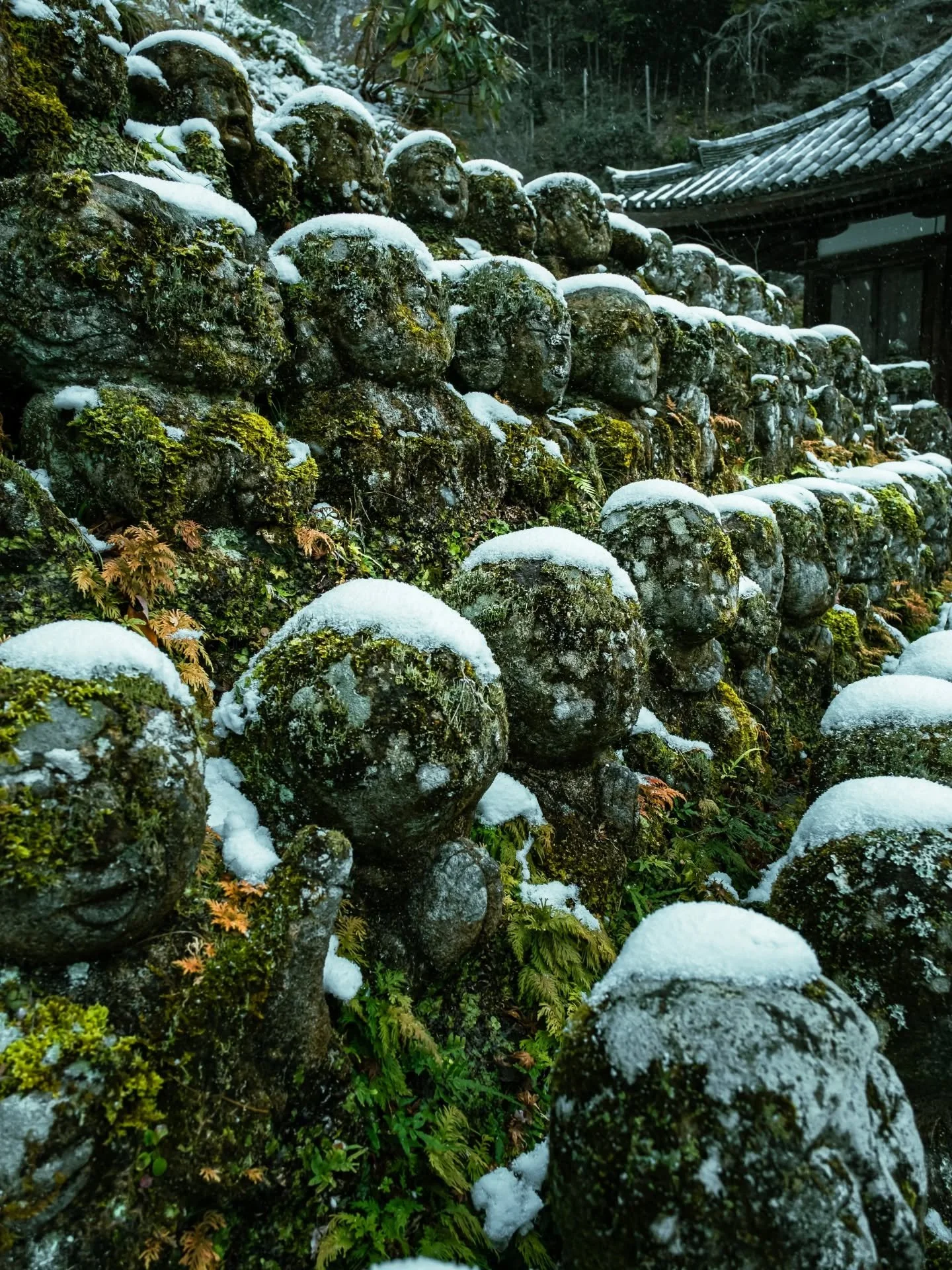Kyoto isn't just golden temples and crowded streets.
Sometimes it's more than 1000 stone faces watching from a hillside or a carpet of moss so green it feels unreal.
Otagi Nenbutsuji and the moss temple reminded me that the most memorable places aren