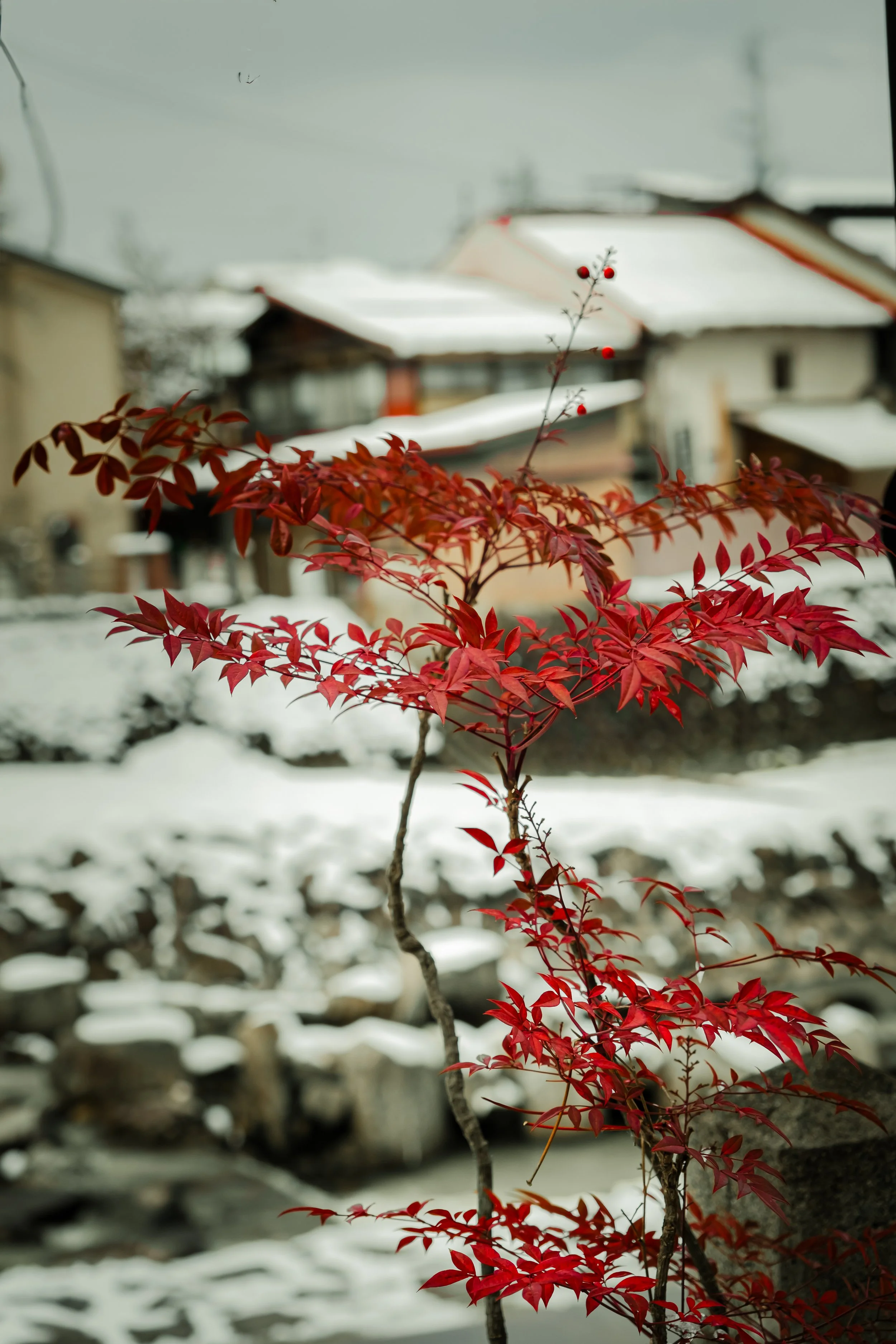 takayama in winter