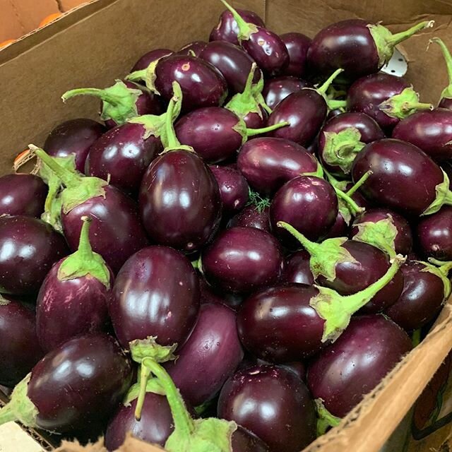 No Filter.

Look at these beautiful mini eggplants (aka Indian Eggplants) that came in!

Roast them and eat as is, or put a little spice on them and make it a meal. If you've cooked with them before, you know how easy they are to prepare and how deli