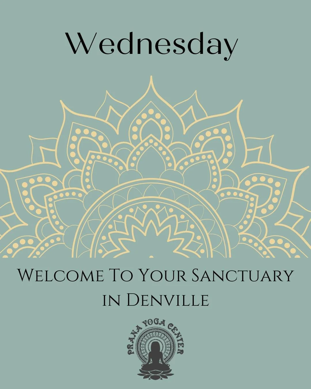 Your mat is waiting - here&rsquo;s today&rsquo;s lineup:

9:15am (75 mins) IN STUDIO- Aligned Flow Open Level - Christy Linson

10:30am (60 min) LIVE-STREAM- Nancy Fit with Nancy Cook

11:00am (75 mins) HYBRID- Gentle Beginners (M/W) - Christy Linson