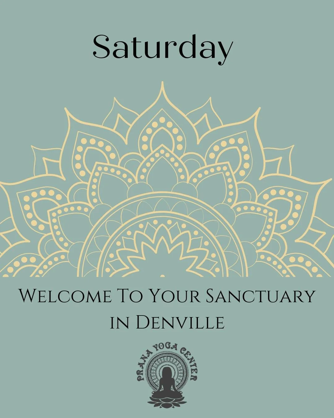 Join us on the mat today ✨ Here&rsquo;s what&rsquo;s happening:

8:30am (75 min) IN-STUDIO- Mixed Level Flow - Arnaldo Ortiz

10:00am (75 min) HYBRID- Aligned Flow&reg; Beginners - Christy Linson

10:00am (60 min) LIVE-STREAM- Contemporary Mat Pilate