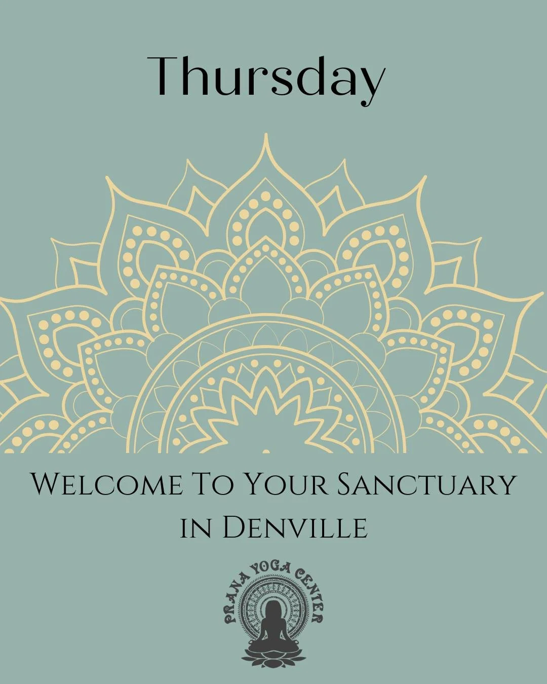 🌊Today&rsquo;s flow at Prana Yoga Studio :

9:15am (75 min) HYBRID- Mindful Vinyasa Flow - Robert Von Schalscha

11:00am (75 min) HYBRID- Stretch To Rest - Sarah Michalowski

4:30pm (60 min) IN-STUDIO- Power Happy Hour - LORETTA Napolitano

6:00pm (