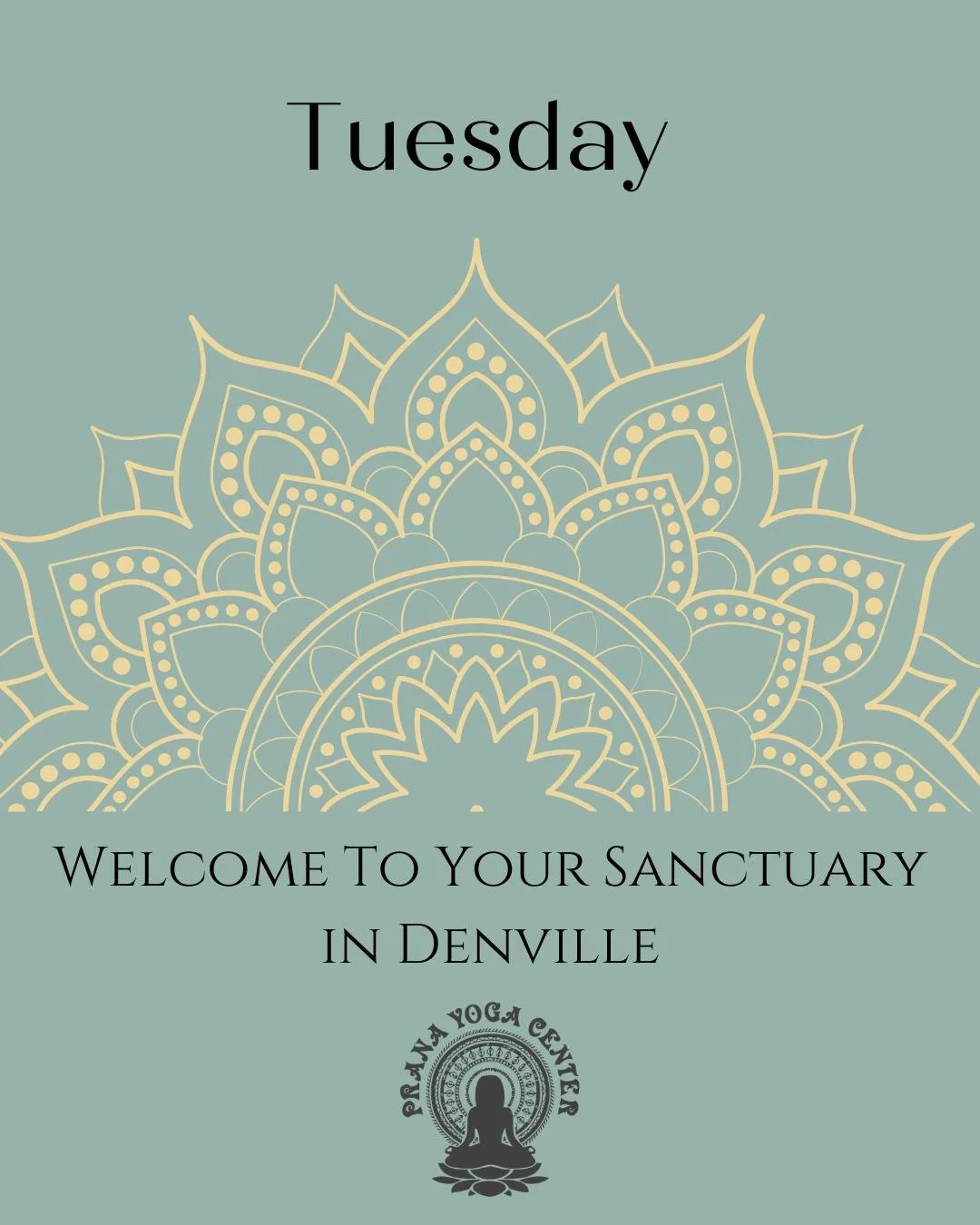 Here&rsquo;s how we&rsquo;re moving through the day together at the studio:

9:15am (75 min) - IN-STUDIO - Full Body Flow - LORETTA Napolitano

11:00am (75 min) - HYBRID Gentle Flow with Sheri Gildersleeve

4:30pm (60 min)  HYBRID- Yoga Sculpt - Mich