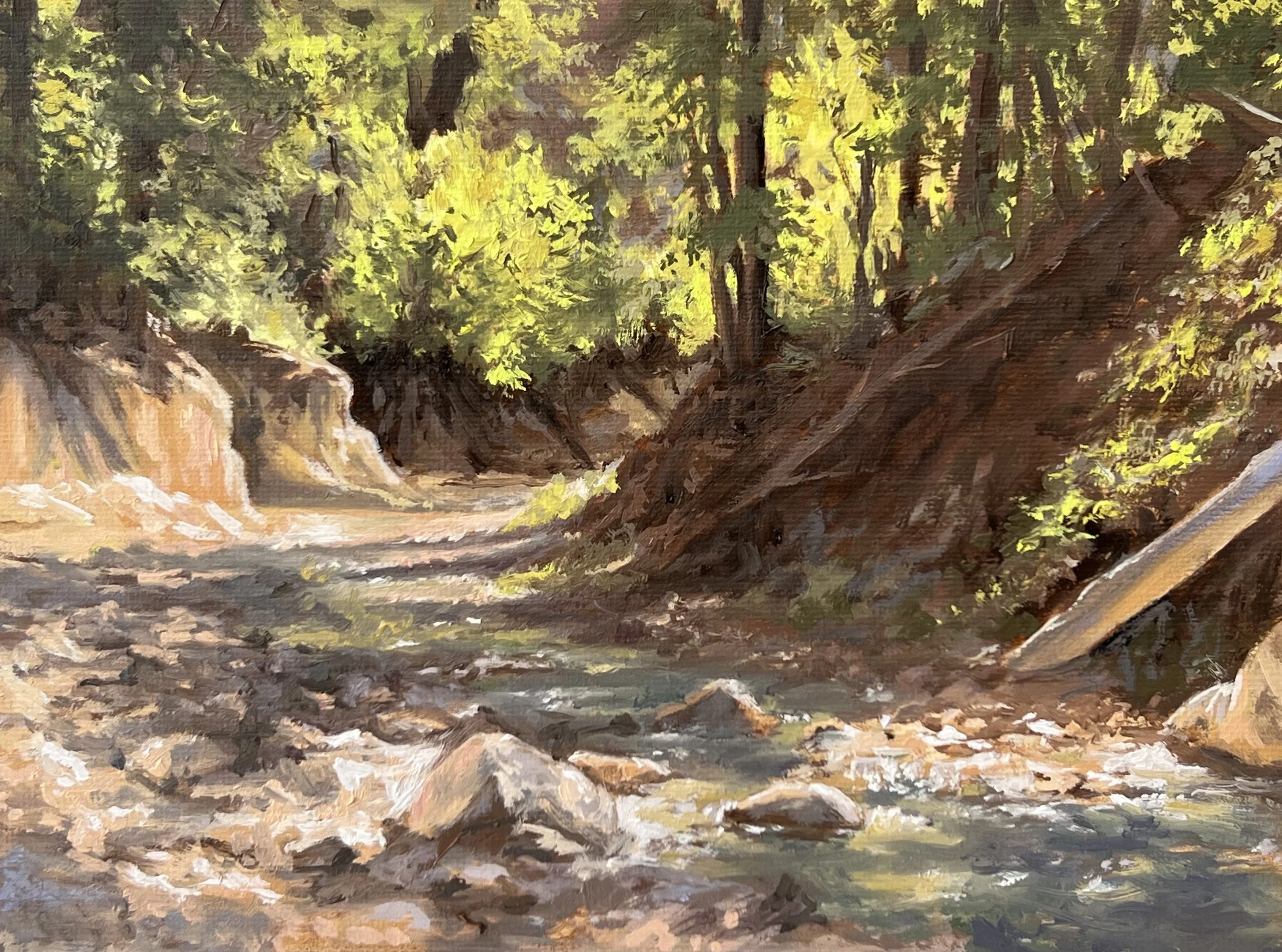 Above the Narrows