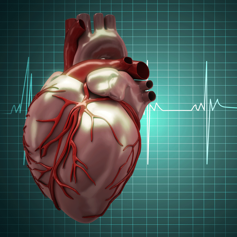 heart failure pic 2.png