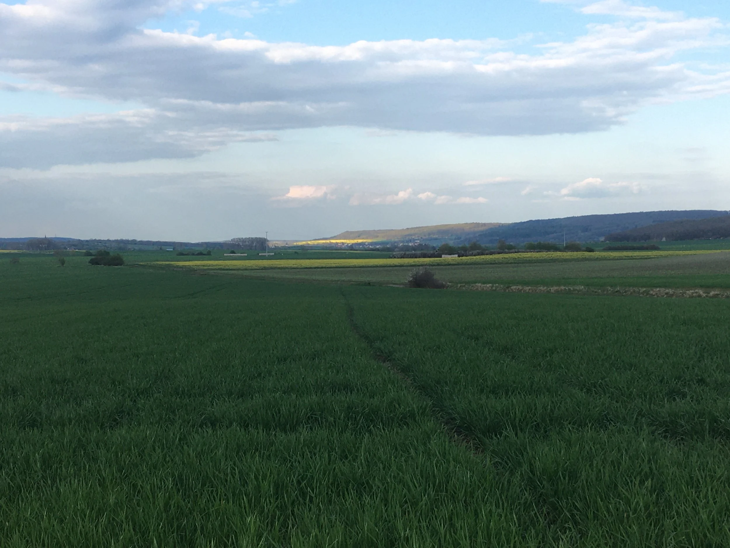 Countryside around Seehaus