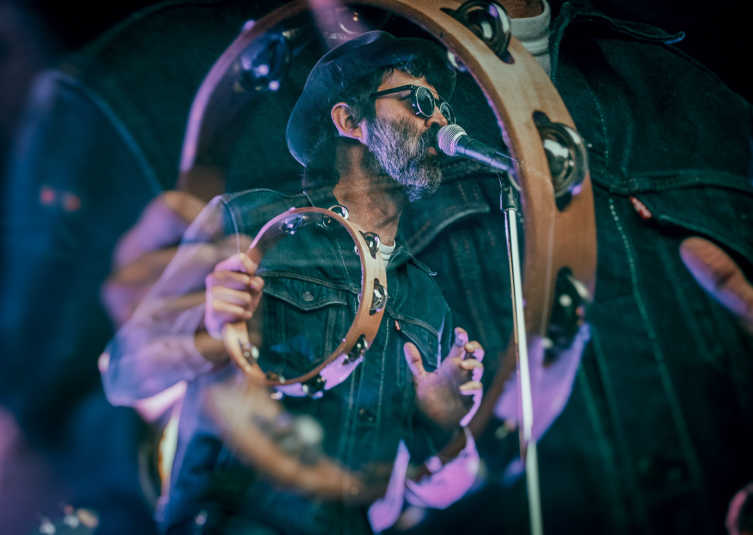 Eels Iveagh Gardens 2018 Tivodar-1-5.jpg