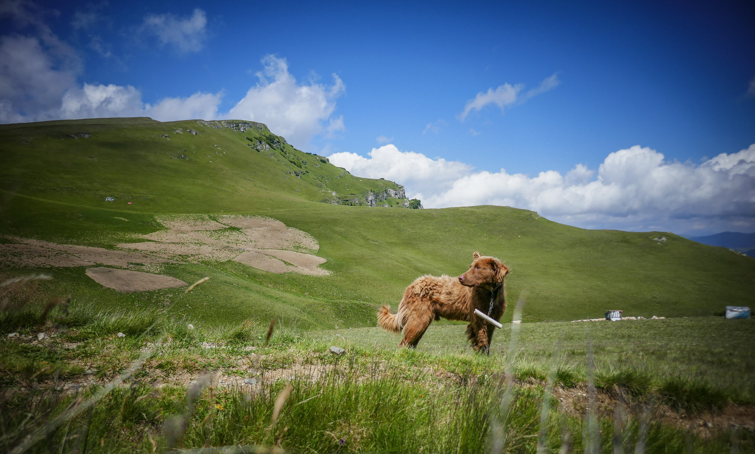 Adventure-1210765.jpg