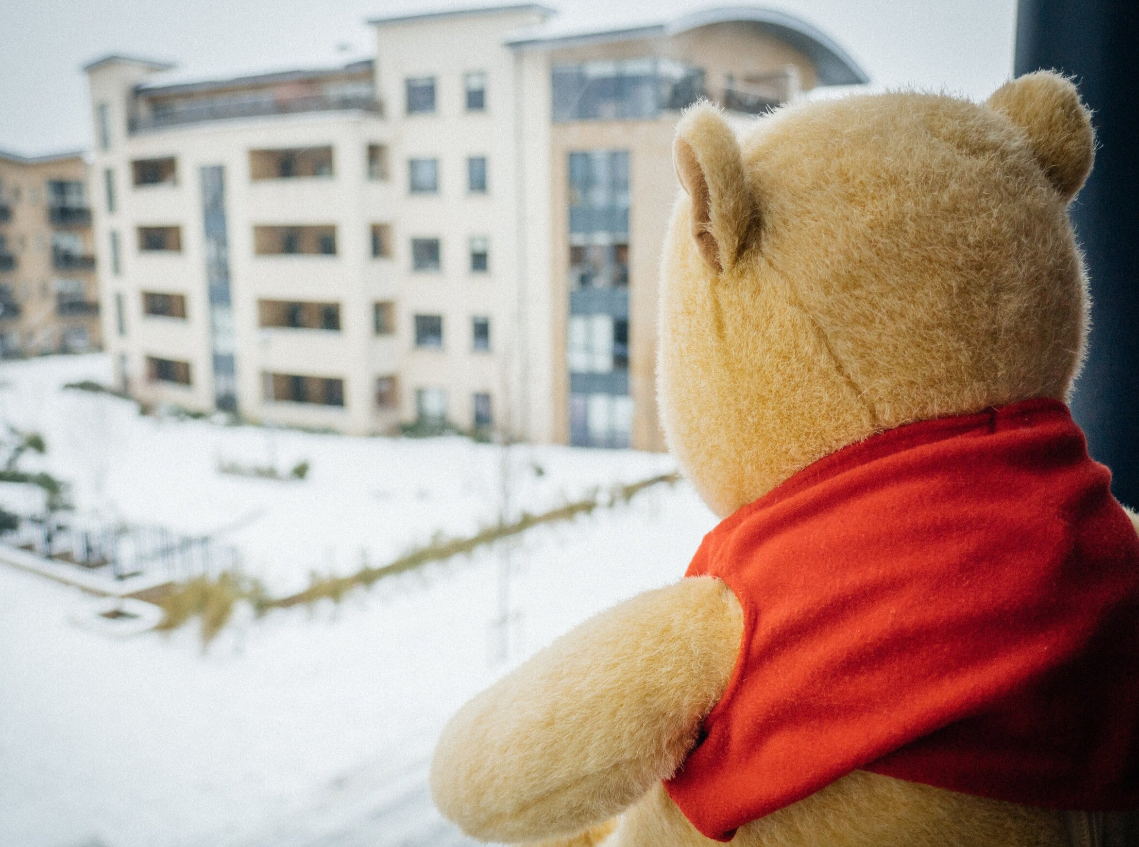 Snow-1340447.jpg