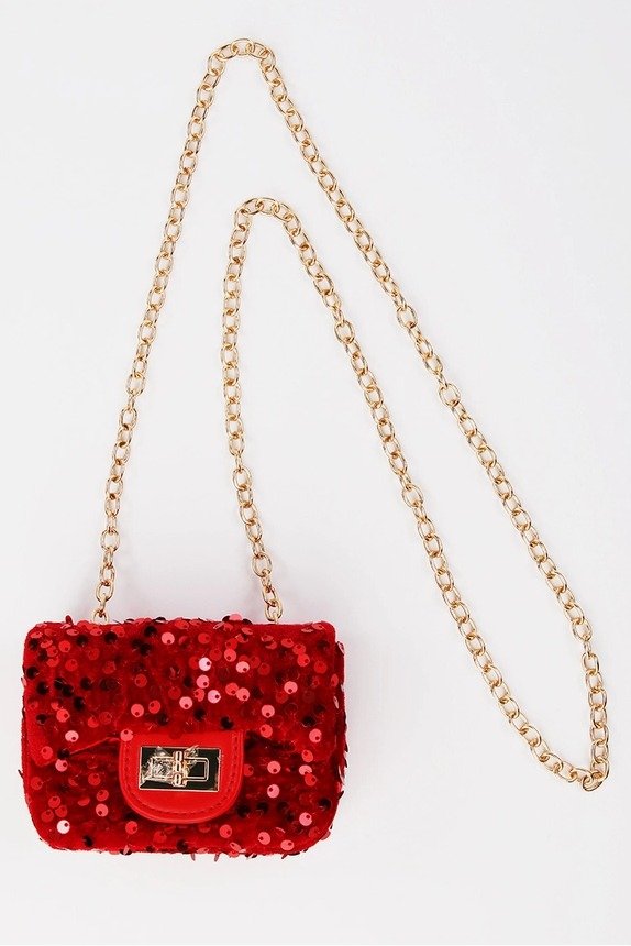 Sequin Purse