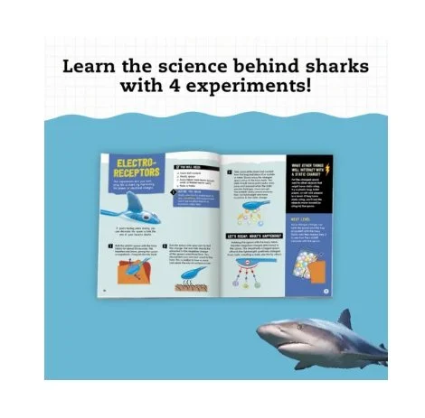 Screenshot_13-6-2026_155257_shop.scholastic.com.jpeg