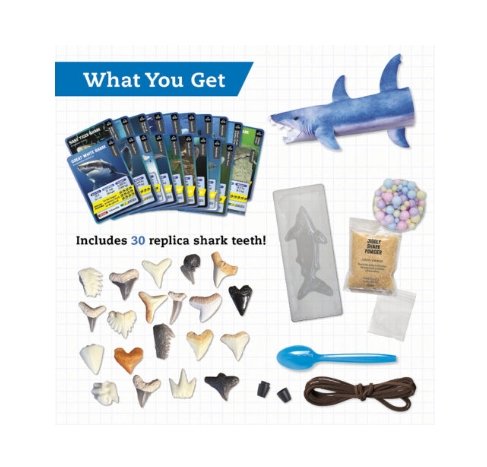 Screenshot_13-6-2026_15536_shop.scholastic.com.jpeg