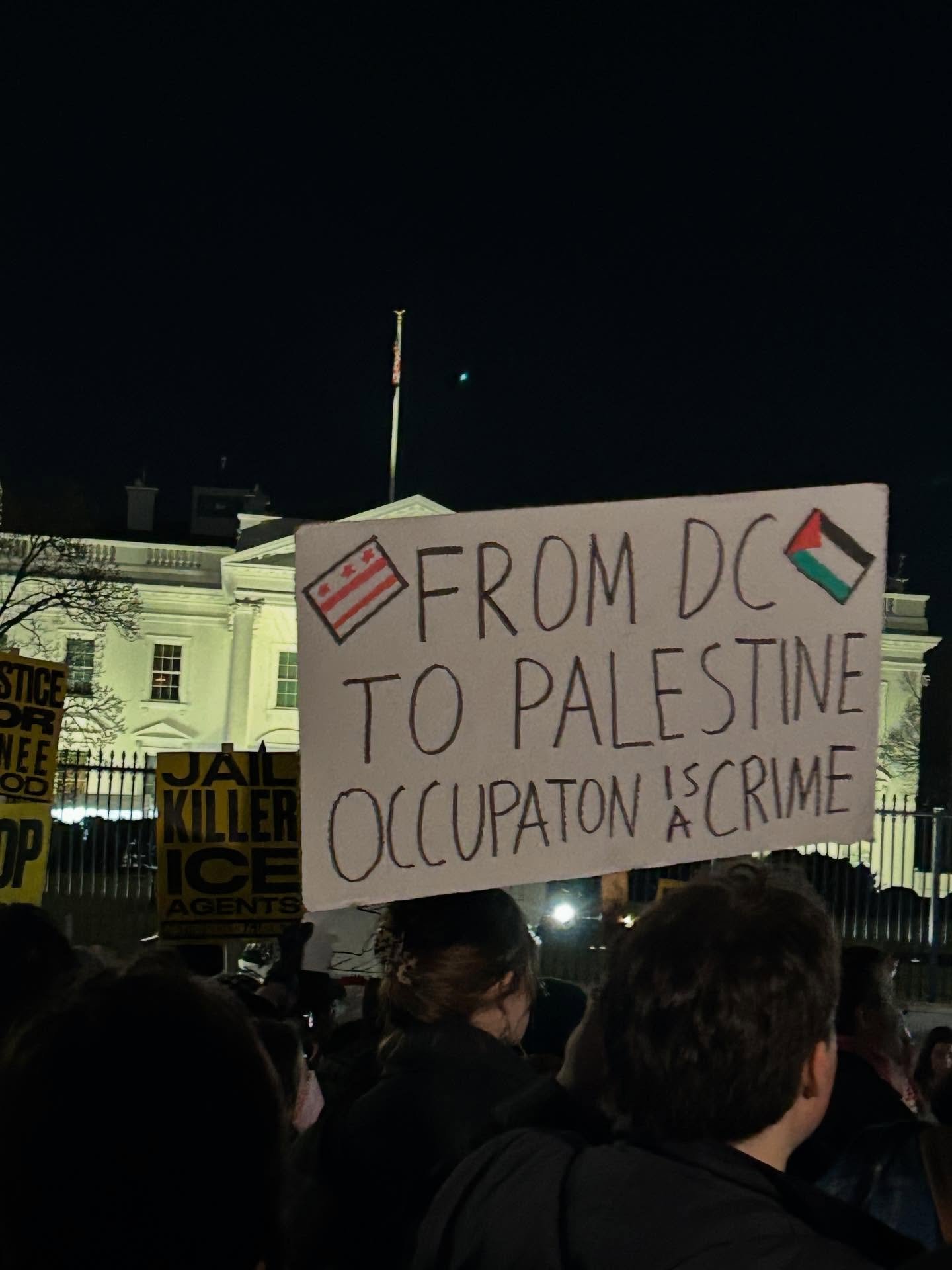 Why I Was Loud About Palestine