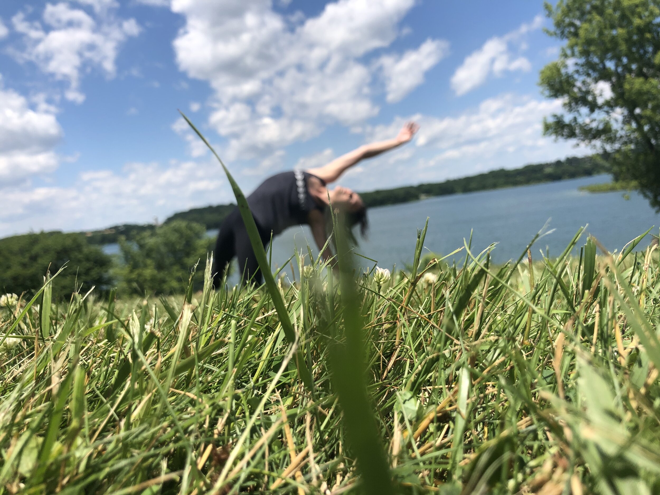 Freedom Flow