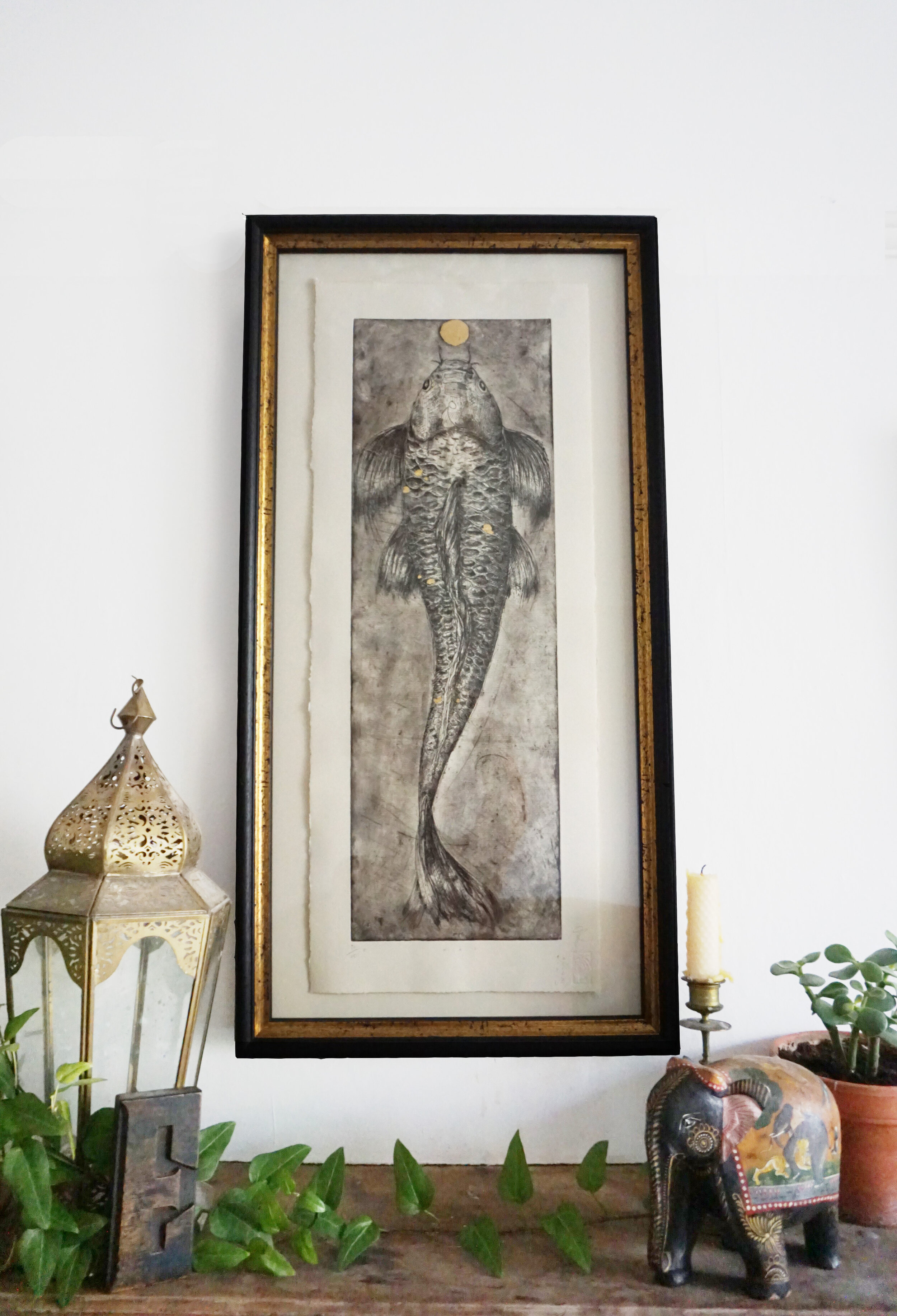 Koi