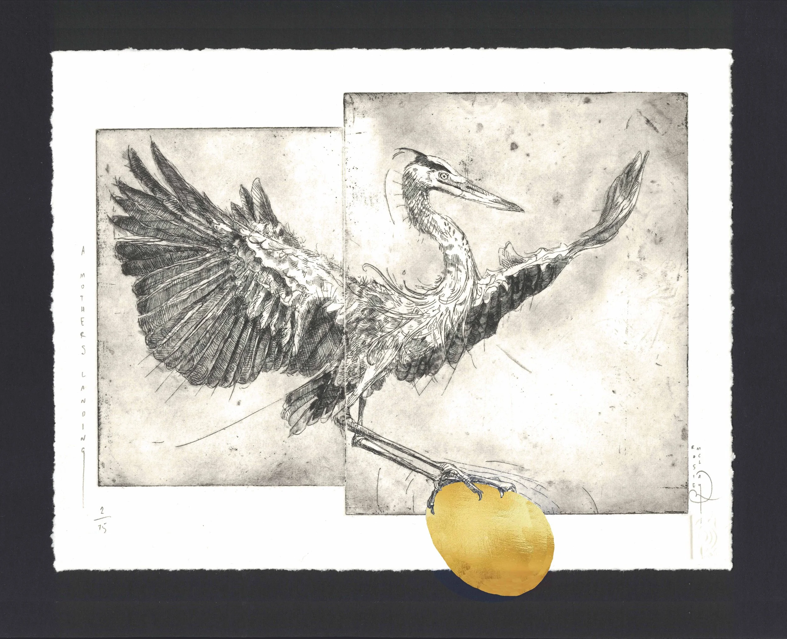 • A Mothers Landing •
27cm x 21cm / 2026
Copper Plate Etching with Brass Leaf
Somerset Velvet Paper