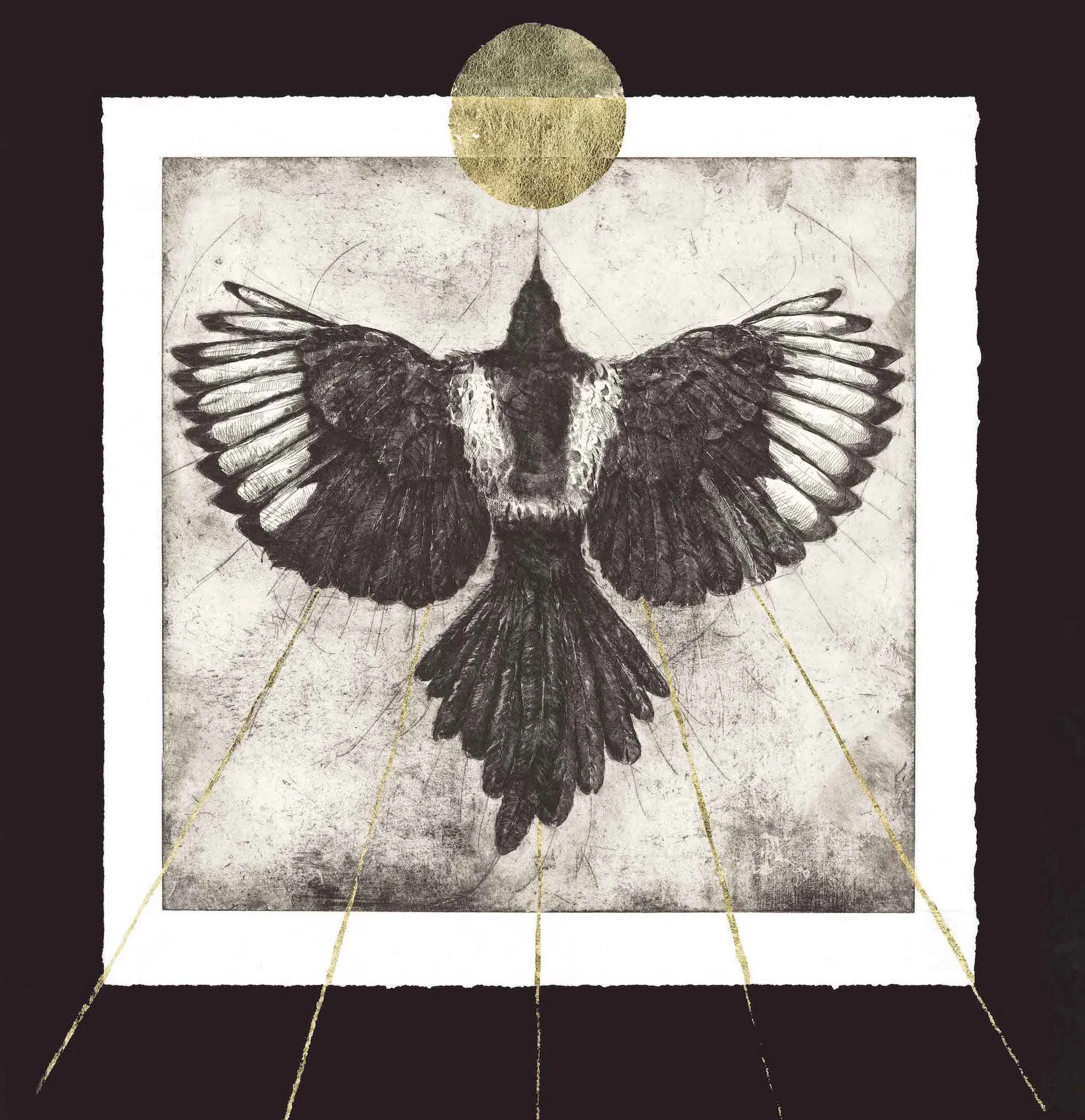 • Wings of Woe •
58cm x 60cm / 2025
Copper Plate Etching with Silver Leaf
Somerset Velvet Paper