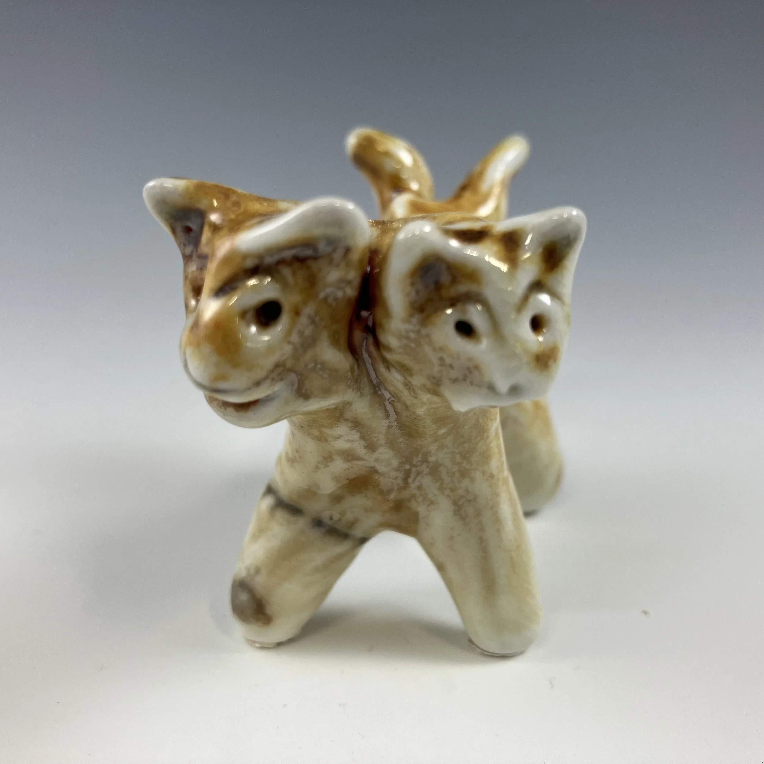 Dog with two heads and two tails