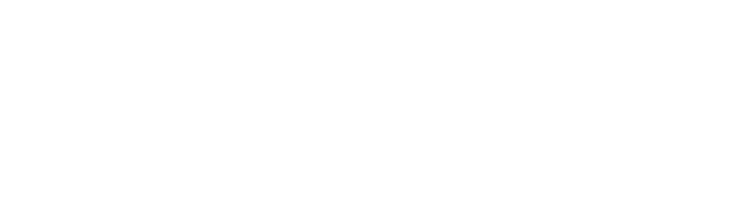 Hannaford Supermarket Logo  (Copy) (Copy)