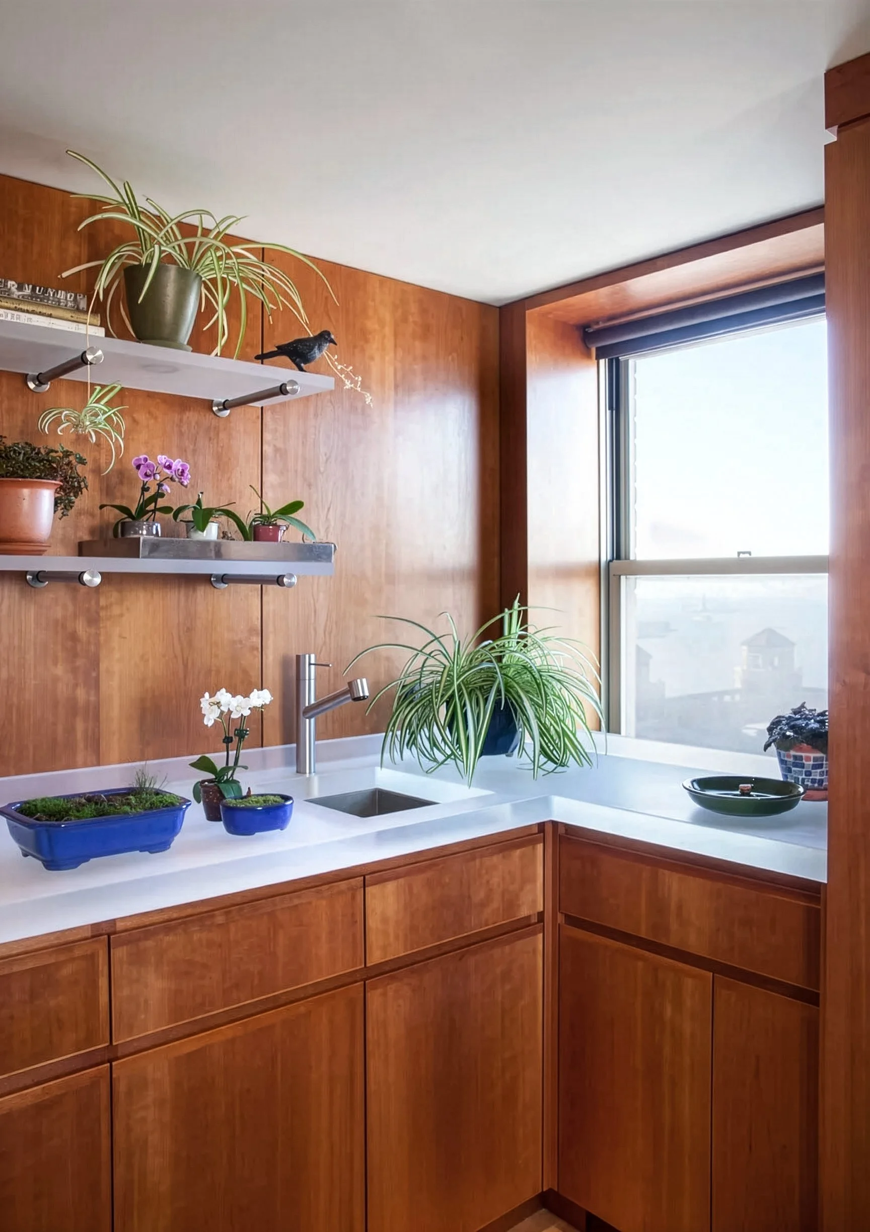 Kitchen sink with plants on counter