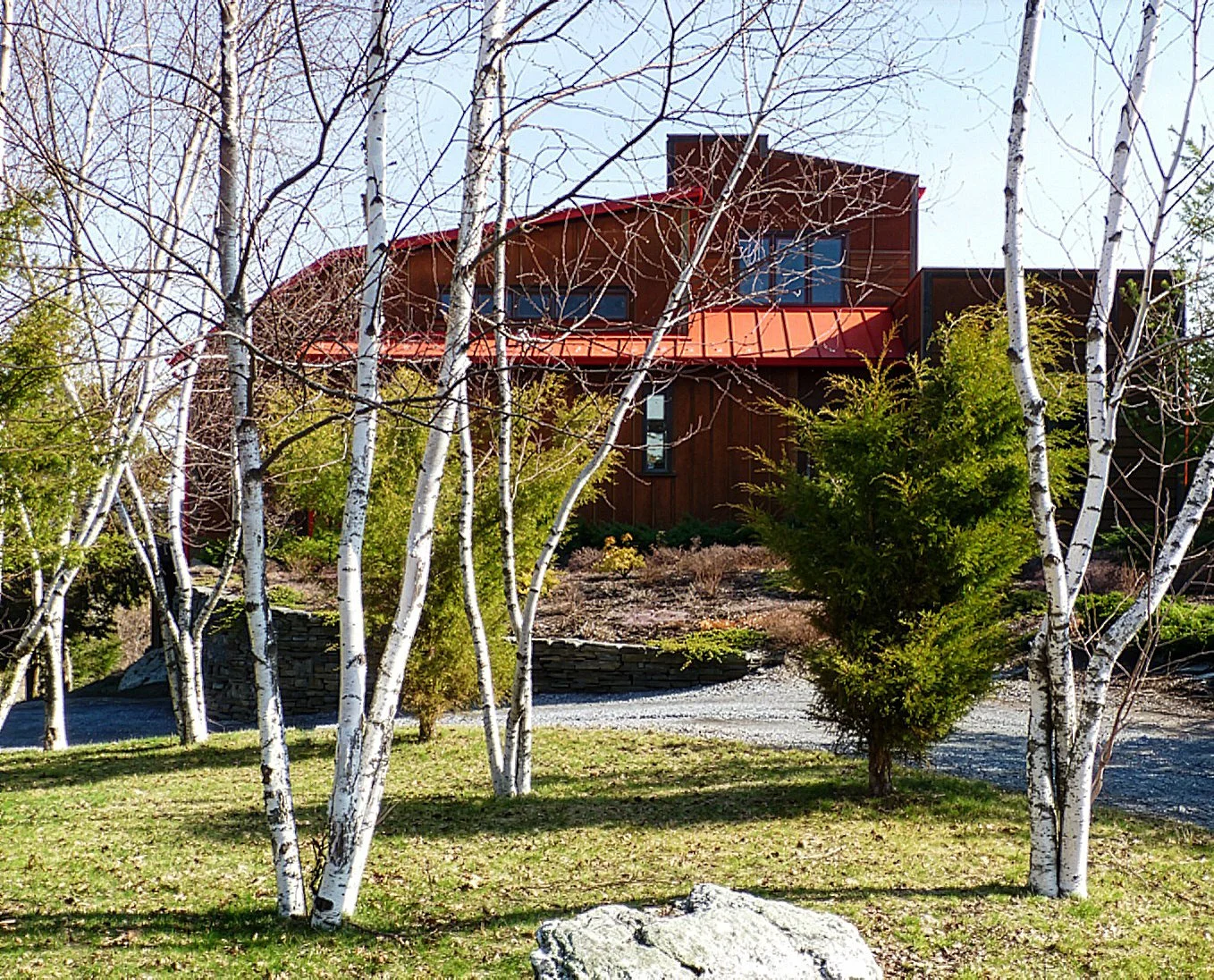 house with trees in front of it
