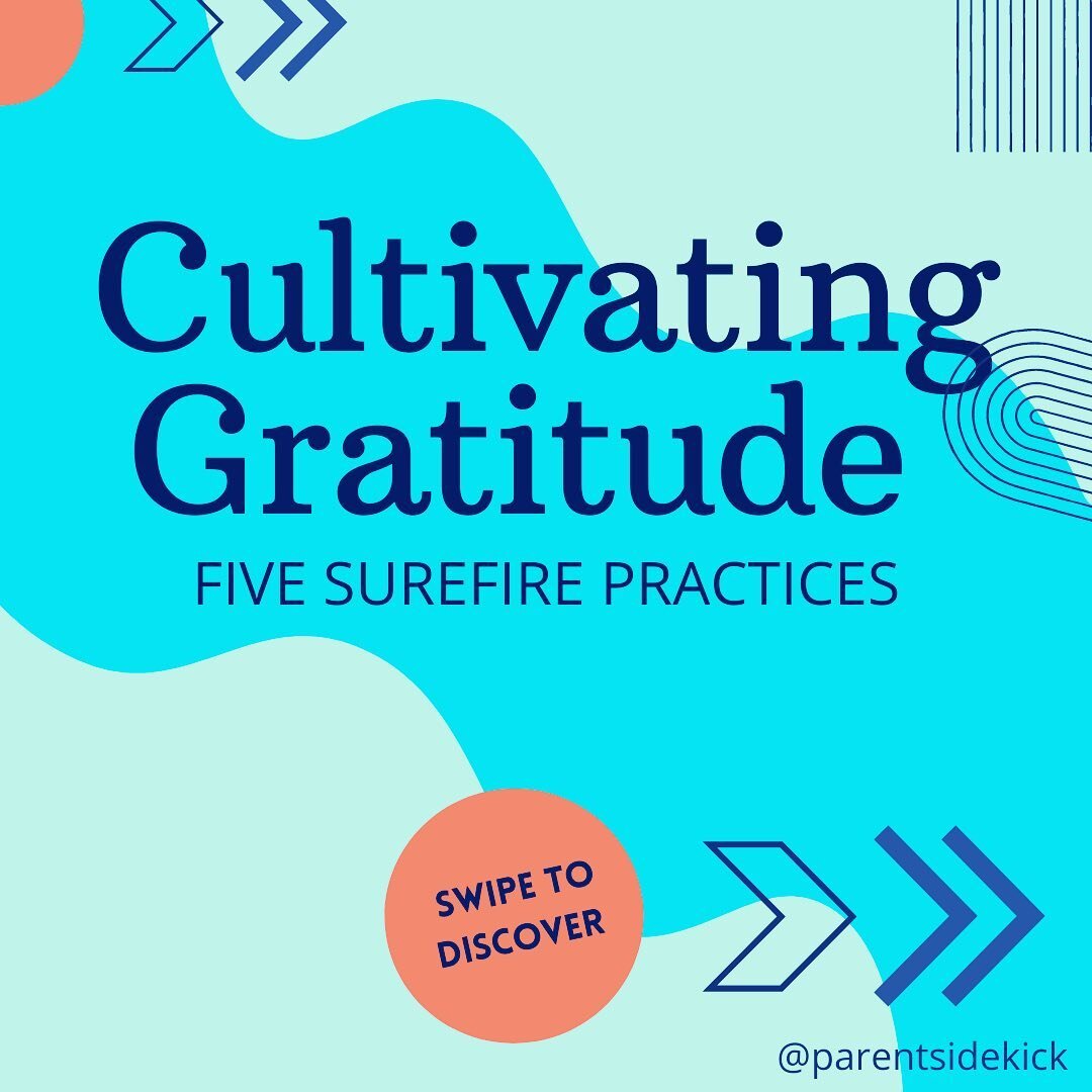 Gratitude: A parenting practice is only as strong as your personal practice. It begins with gratitude. Getting into an &ldquo;attitude of gratitude&rdquo; gets easier and more a part of who you are and what you do to inspire others the more you put i