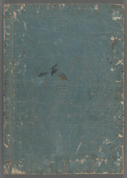 Weathered Book Cover with Stains that Look like Birds