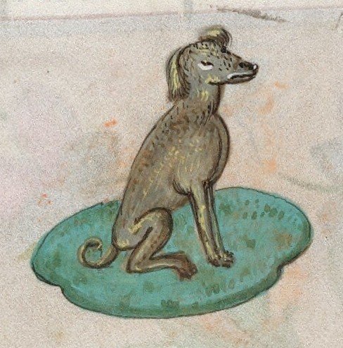 Illustration of a Hound in His Favorite Spot