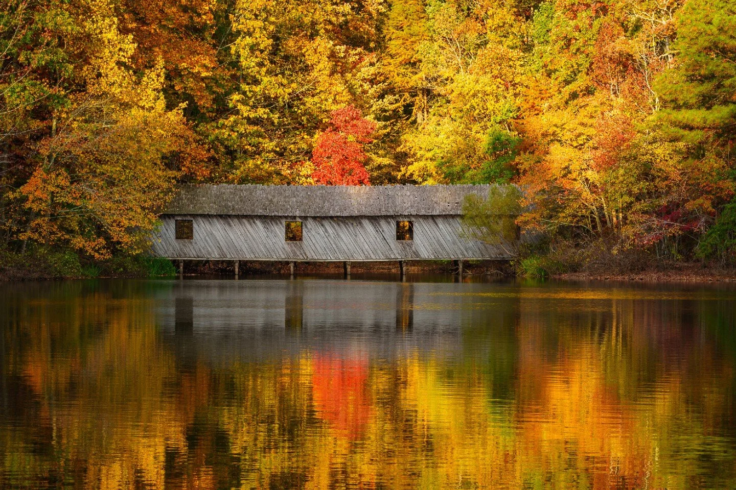 Oh, Cambron Covered Bridge at the Green Mountain Nature Trail! 🍁 This view from last fall has me so ready for the vibrant colors to paint Huntsville again.  There&rsquo;s nothing quite like the reflection of those fiery reds and golds on Sky Lake.

