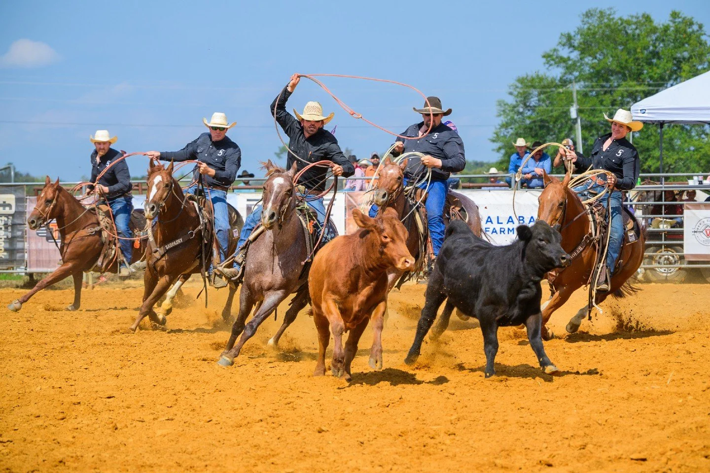 Talk about synchronized chaos! 🤠 This incredible shot from The Day of The Cowboy Ranch Rodeo at No Fences Cowboy Church showcases the intense teamwork and precision required for trailer loading event. Four cowboys, two cattle, and a whole lot of ski