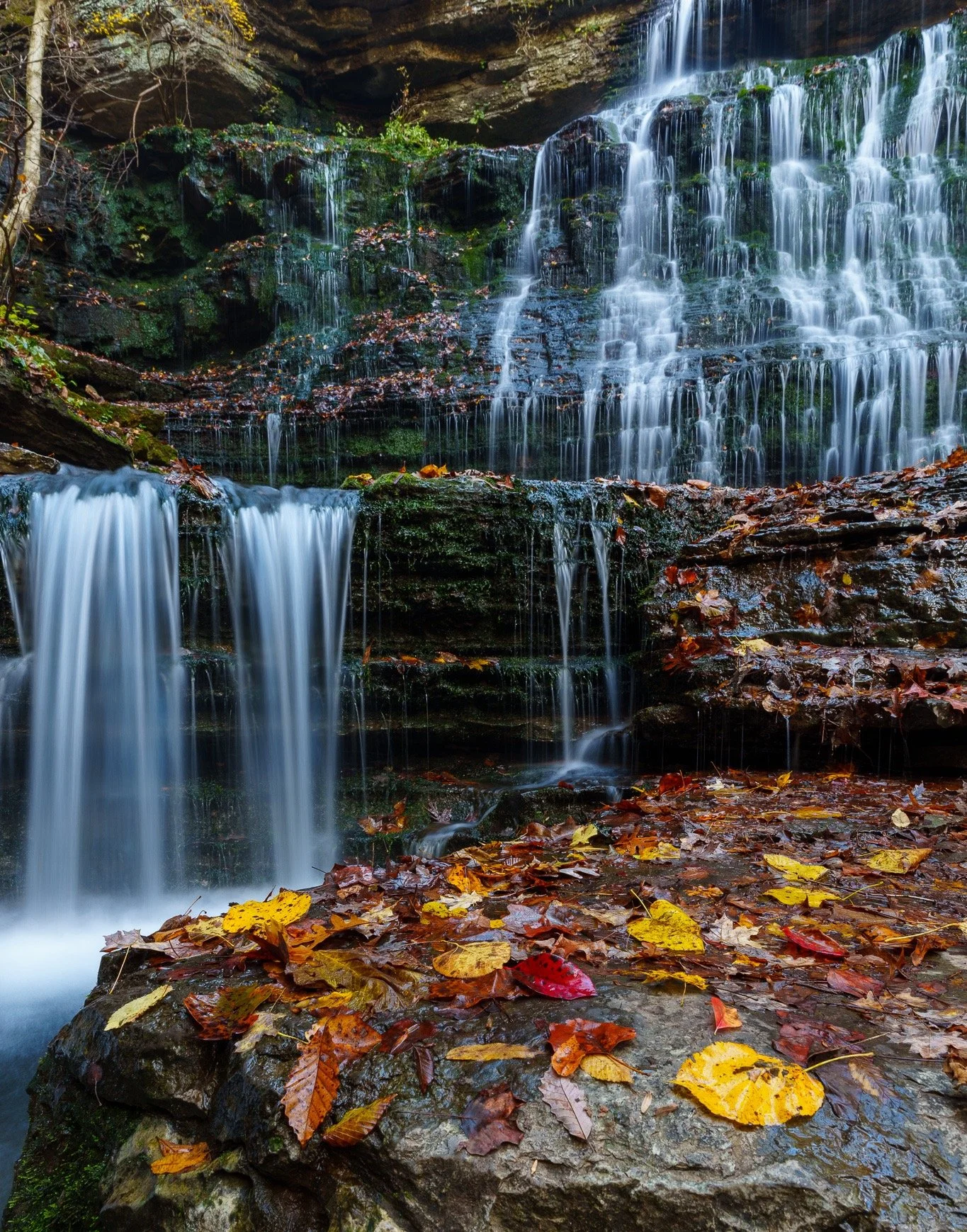 Lost in the serene beauty of Machine Falls in Tullahoma, TN. 🍂 The soft flow of the water combined with the vibrant autumn leaves creates such a magical, peaceful scene. Definitely worth the hike!

📸 Sony A1 | F/11 | 2 Seconds | ISO 100 | 20mm
🔦 T