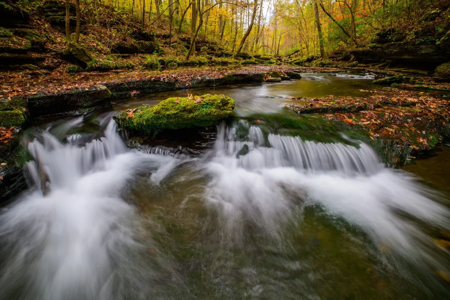 Much needed break!  Spending time in the woods this past weekend was the perfect reset button.  It's amazing how fast life can feel when you're just focused on the rush of water and the quiet of the trees.  This is Bobo Creek at Short Springs Natural